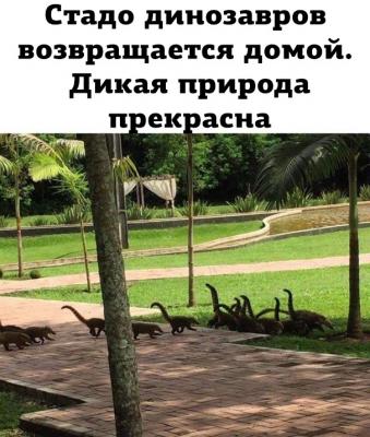 Прикрепленное изображение: динозавры.jpg